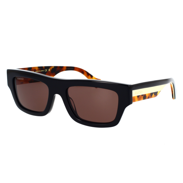 GG1301S-003 - Image 2