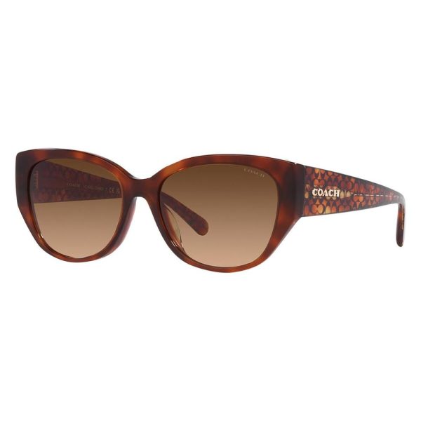 COACH HC 8362U 574174 Women Sunglasses Caramel Tortoise - Image 2