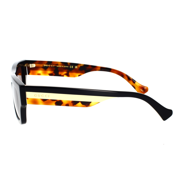 GG1301S-003 - Image 3