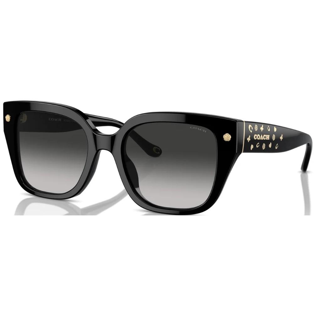 Coach sunglasses black and white discount