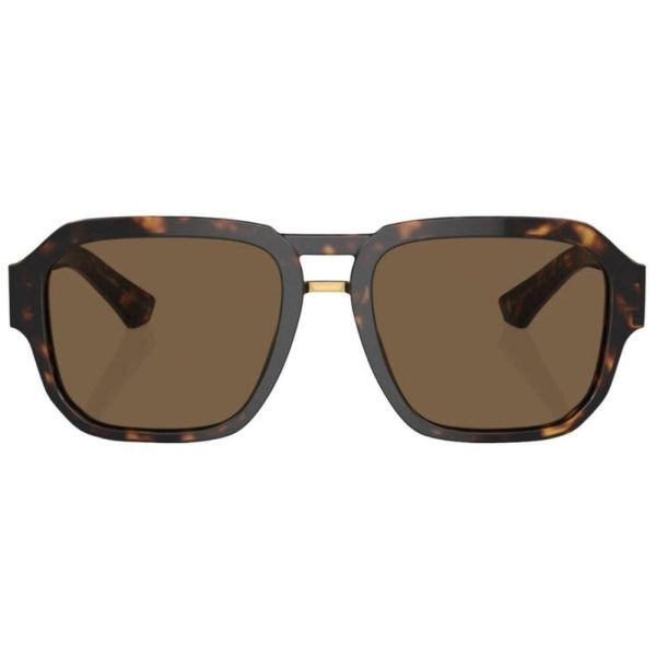 D&G 4464 502/73 Men Sunglass Brown