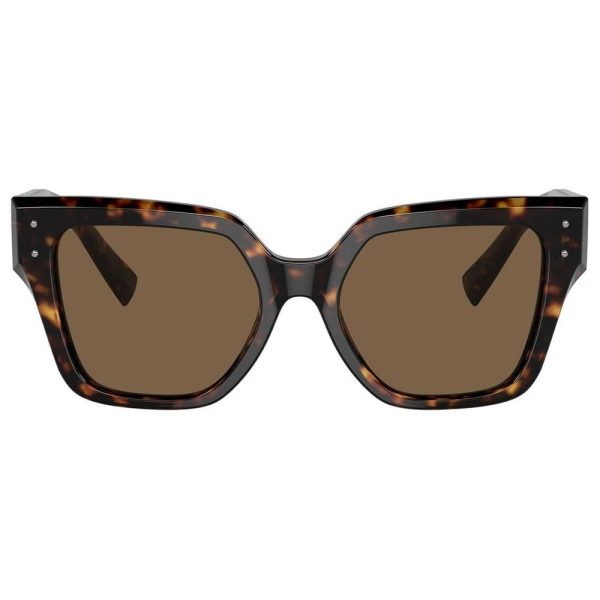 D&G 4471 502/73 Women Sunglass Havana