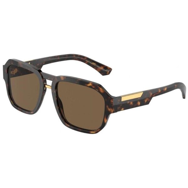 D&G 4464 502/73 Men Sunglass Brown - Image 2