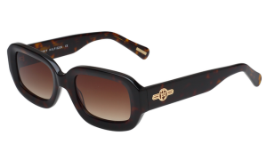 TOMMY HILFIGER TH 7206 C2 50 - Sheet full TOMMY HILFIGER Brown Square