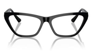 JIMMY CHOO JC3014 5000 54 - Sheet full JIMMY CHOO Black Cateye