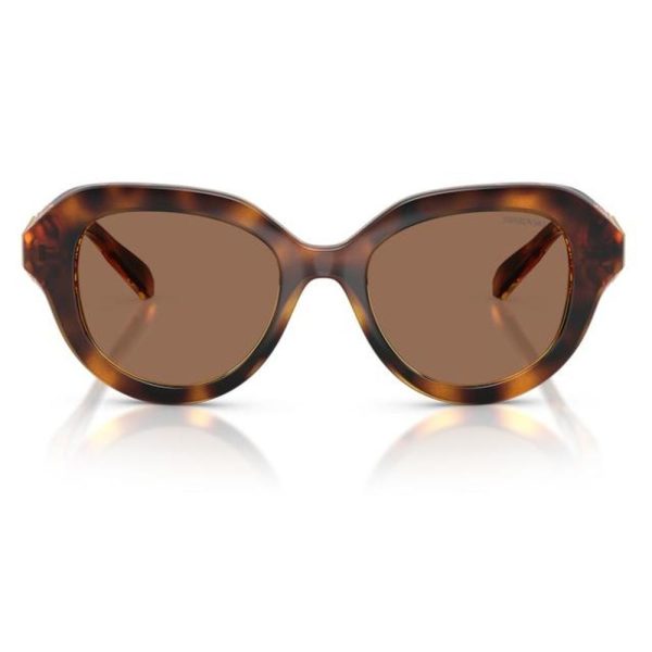 SWAROVSKI SK6037 100273 50 - Sheet full Swarovski Havana Ladies