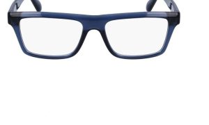SALVATORE FERRAGAMO SF2988 450 54 - Sheet full SALVATORE FERRAGAMO Blue Square