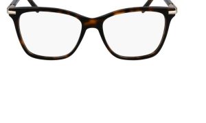 SALVATORE FERRAGAMO SF3013 242 53 - Sheet full SALVATORE FERRAGAMO Brown Square