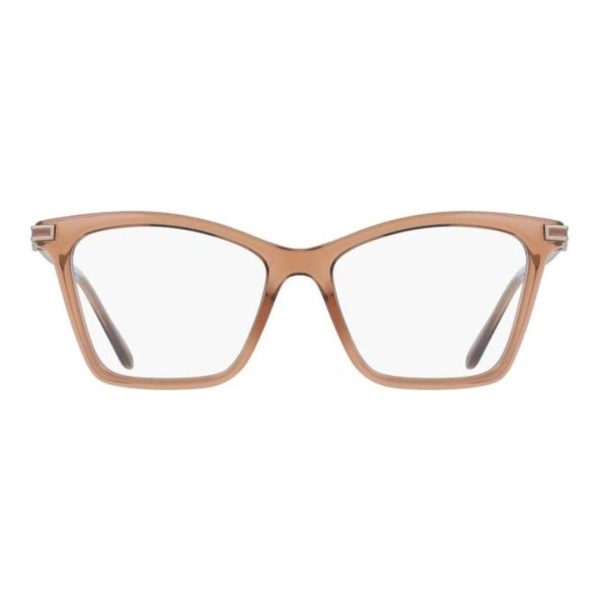 SALVATORE FERRAGAMO SF3024 232 53 - Sheet full SALVATORE FERRAGAMO Brown Ladies