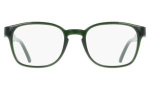 SALVATORE FERRAGAMO SF3027E 317 52 - Sheet full SALVATORE FERRAGAMO GREEN Square