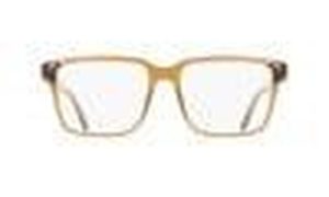 SALVATORE FERRAGAMO SF3028E 278 55 - Sheet full SALVATORE FERRAGAMO Brown Square