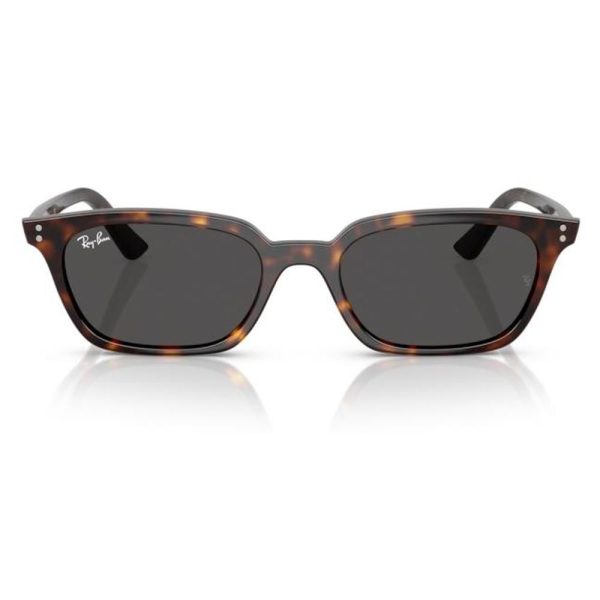 RAYBAN RB4456 135987 53 - Sheet full Rayban Havana Square