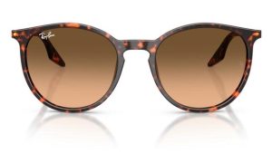 RAYBAN RB2204 14293B 51 - Metal full Rayban Havana Ladies