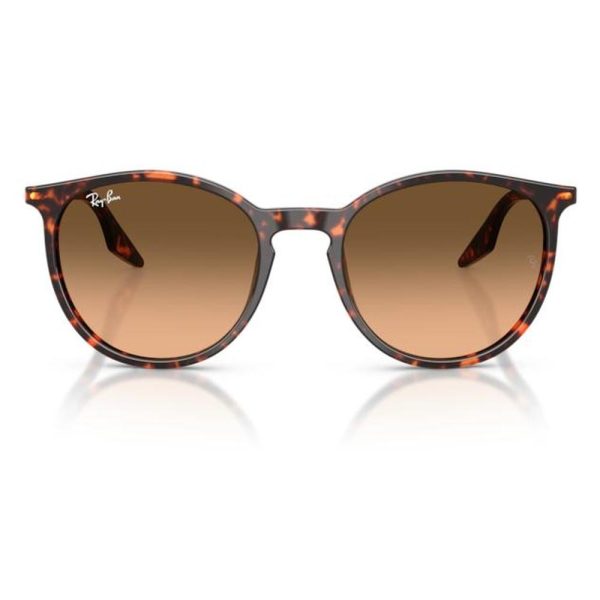RAYBAN RB2204 14293B 54 - Sheet full Rayban Havana Ladies