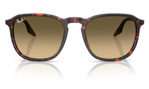 RAYBAN RB2203 14290A 55 - Sheet full Rayban Havana Ladies