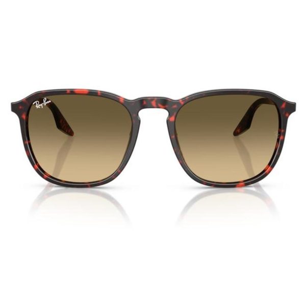 RAYBAN RB2203 14290A 55 - Sheet full Rayban Havana Ladies