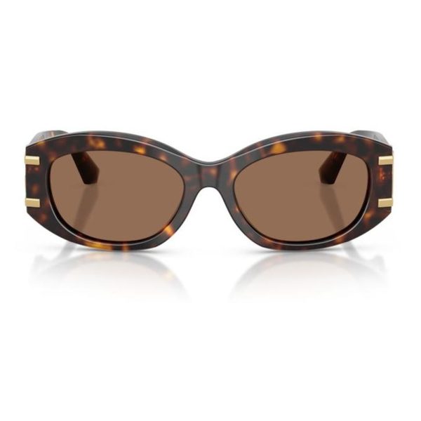 DOLCE & GABBANA DG4502 502/73 55 - Sheet full DOLCE&GABBANA Havana Oval