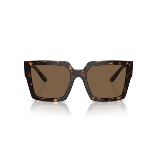 DOLCE & GABBANA DG4446B 502/73 53 - Sheet full DOLCE&GABBANA Havana Ladies