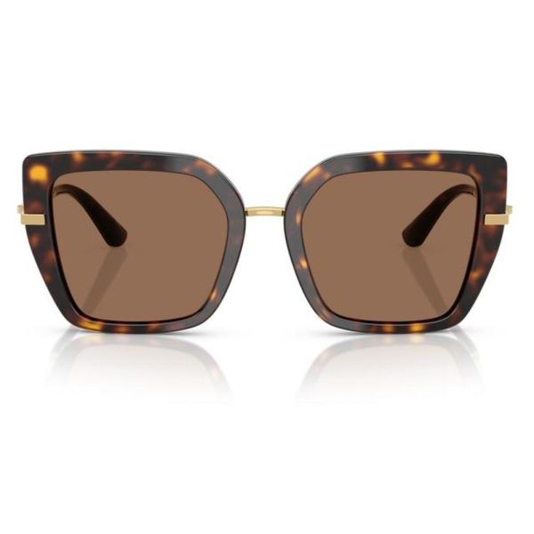 DOLCE & GABBANA DG4474 502/73 53 - Sheet full DOLCE&GABBANA Havana Ladies
