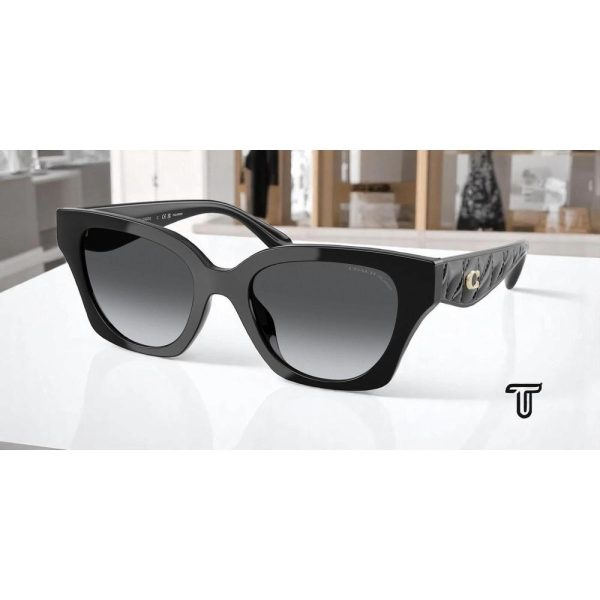 COACH 0HC8418 U5002T3 53 - Sheet full COACH Black Ladies