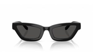 COACH 0HC8420U 500287 55 - Sheet full COACH Black Cateye