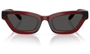 COACH 0HC8420U 587487 55 - Sheet full COACH Wine Cateye