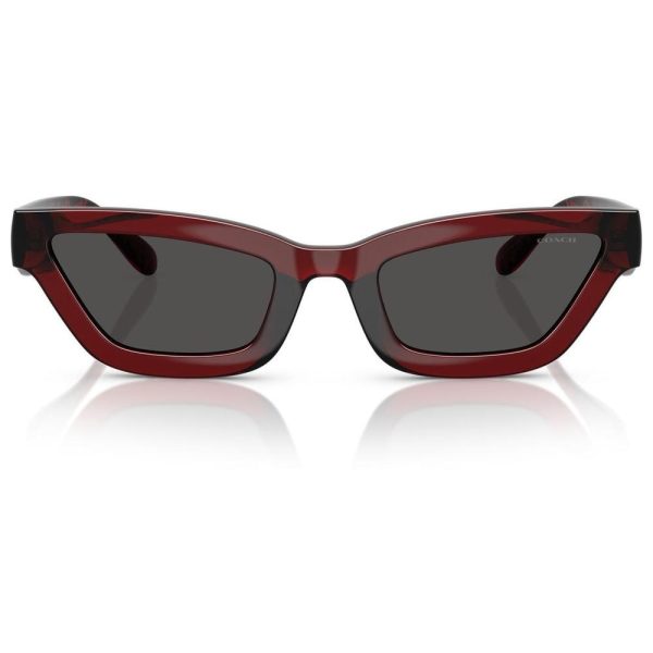 COACH 0HC8420U 587487 55 - Sheet full COACH Wine Cateye