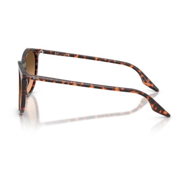 RAYBAN RB2204 14293B 54 - Sheet full Rayban Havana Ladies - Image 2