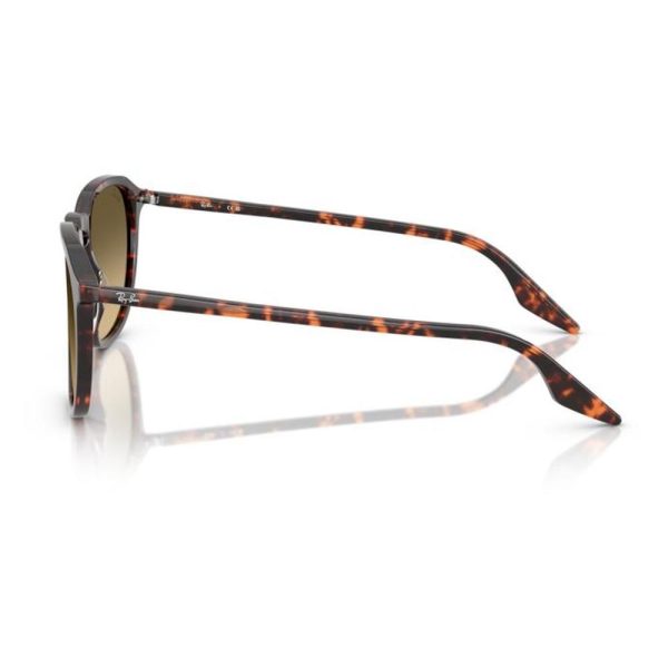 RAYBAN RB2203 14290A 55 - Sheet full Rayban Havana Ladies - Image 2
