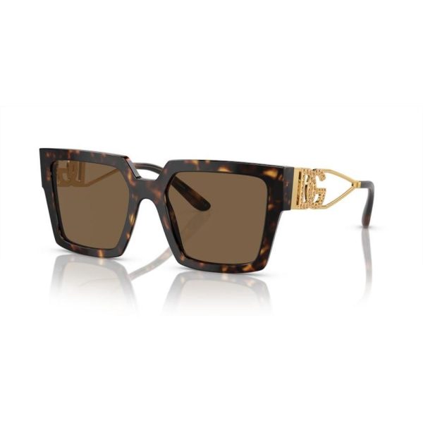 DOLCE & GABBANA DG4446B 502/73 53 - Sheet full DOLCE&GABBANA Havana Ladies - Image 2