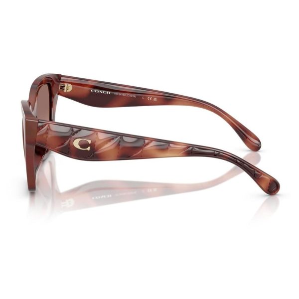 COACH 0HC8418U 577413 53 - Sheet full COACH Brown Cateye - Image 2