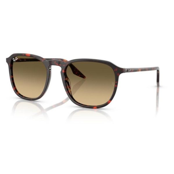 RAYBAN RB2203 14290A 55 - Sheet full Rayban Havana Ladies - Image 3