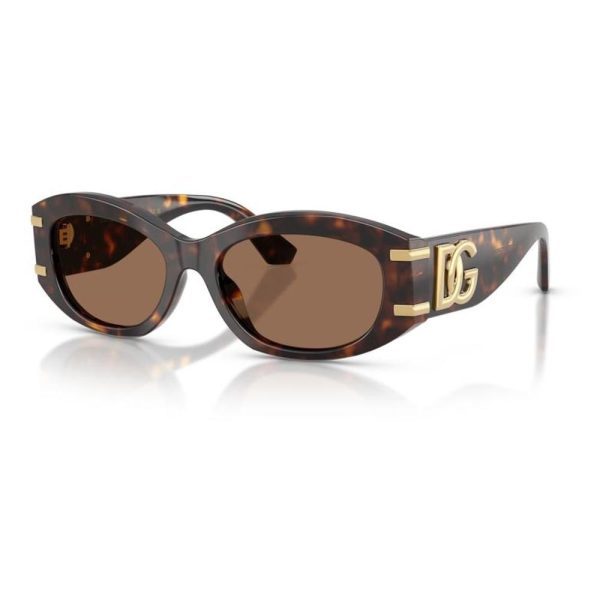 DOLCE & GABBANA DG4502 502/73 55 - Sheet full DOLCE&GABBANA Havana Oval - Image 3